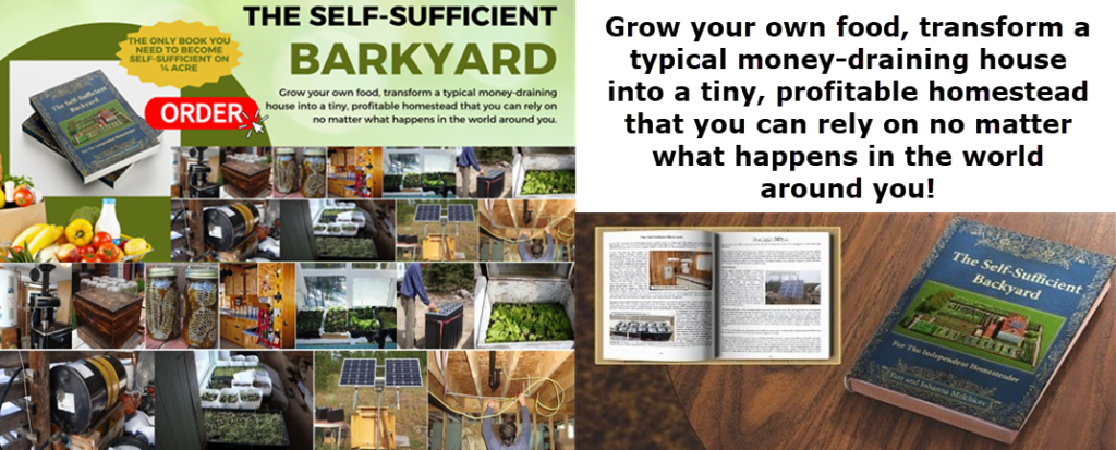 The-Self-Sufficient-Backyard